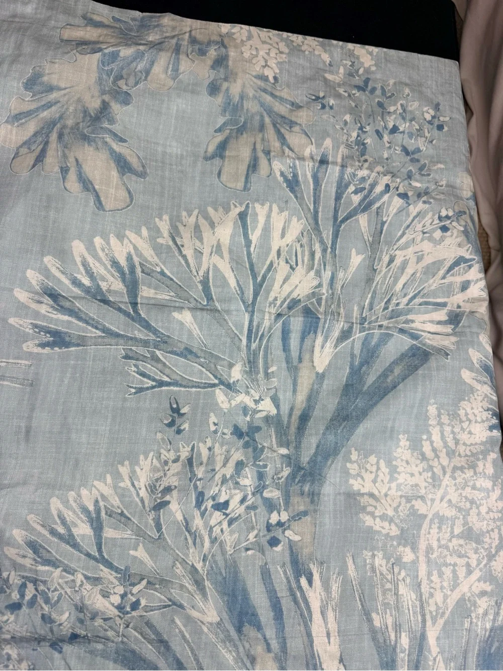POTTERY BARN Euro Sham Sea Mist Organic Cotton Percale